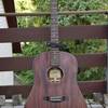 Vollmassive All-Mahogany Gitarre von STANFORD -- Unikat! Neu!