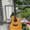 Taylor 914 CE L7 Limited Edition Brazilian Rosewood/Engelmann von 2004