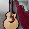 Taylor 655ce 12 string mit ES Amp u Koffer