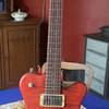 Framus Panthera