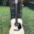 Kleinanzeige: C.F. Martin Dreadnought CS Custom Shop